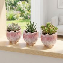 Produkt Miniaturowa doniczka ceramiczna na kwiaty różne Ø8cm wys.7cm 3 szt.
