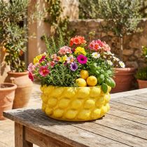 Produkt Donica cytrynowa donica ceramiczna z miską żółta Ø26cm W12cm