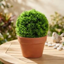 Produkt Kula z trawy kula dekoracyjna zielona sztuczna roślina okrągła Ø18cm 1 szt