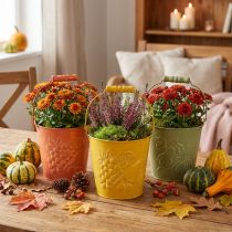 Produkt Ozdobne wiaderko z owocami myte żółty, pomarańczowy, zielony Ø15cm W14cm zestaw 3