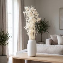 Produkt Suszone kwiaty czarnuszki, bukiet eleganckiej, naturalnej dekoracji do ekskluzywnych wnętrz, 70 cm, 50 g