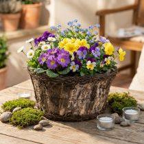 Produkt Doniczka z kory brzozowej z naturalnym wzorem winorośli, Ø28 cm, wys.15 cm, doniczka