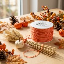 Produkt Sznurek papierowy w oplocie Ø2mm 100m Pomarańczowy