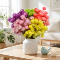 Produkt Suszone Kwiaty Deco Cap Kwiaty Słomkowe Kwiaty Kolorowe W42cm