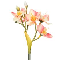 Produkt Ozdobna gałązka kwitnąca lilii peruwiańskiej do ponadczasowych aranżacji, 33 cm, 6 szt.