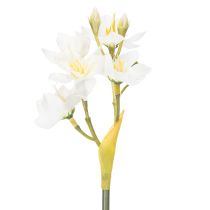Produkt Gałązka żonkila do sezonowych aranżacji ślubnych, piękna, 33 cm, 6 sztuk