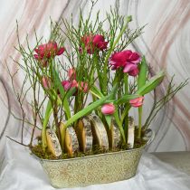 Produkt Wiosenna dekoracja doniczka owalna metalowa miska na rośliny z uchwytami vintage 28×15cm