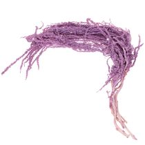 Produkt Suszone kwiaty liszy, barwione, do nowoczesnej dekoracji wnętrz, 100 cm, 5 szt.