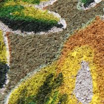 Produkt Wycieraczka cytrynowa kokosowa mata wycieraczka kokosowa 40×60cm