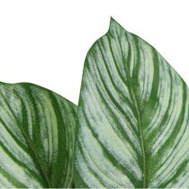 Produkt Calathea Sztuczny Koszyk Marante Sztuczne Rośliny Zielony 51cm