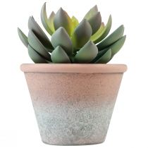 Produkt Sukulent w doniczce Echeveria sztuczna zieleń vintage Ø15cm W16cm