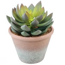 Produkt Sukulent w doniczce Echeveria sztuczna zieleń vintage Ø15cm W16cm