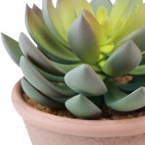 Produkt Sukulent w doniczce Echeveria sztuczna zieleń vintage Ø15cm W16cm