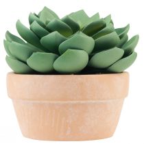 Produkt Sukulent w doniczce Echeveria sztuczna zieleń Ø15cm