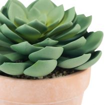 Produkt Sukulent w doniczce Echeveria sztuczna zieleń Ø15cm