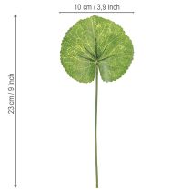 Produkt Galax Urceolata Liście Sztuczne Zielone Ø10cm L23cm 12 szt