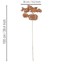 Produkt Palik ogrodowy z motywem dyni, dekoracja metalowa, wykończenie rdzawe, 100 cm
