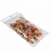 Produkt Dekoracja warzywna mini buraczki sztuczne Ø2,5cm W3,5cm 24 szt