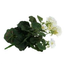 Produkt Krzew geranium biały 38cm