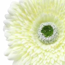 Produkt Gerbera sztuczna biała 62cm 6 szt