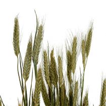 Produkt Ozdoba z ziarna jęczmienia dekoracja sucha naturalna pęczek 80cm 1 sztuka