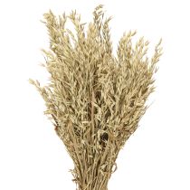 Produkt Owies suszony dekoracyjny pęczek owsa naturalny dekoracyjny pęczek 60cm 200g