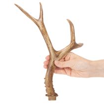 Produkt Sztuczne poroże, realistyczne, rustykalne, 32 cm