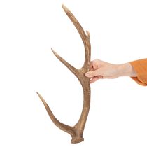 Produkt Dekoracyjne sztuczne poroże, rustykalna dekoracja domku, 50 cm