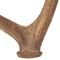 Produkt Dekoracyjne sztuczne poroże, rustykalna dekoracja domku, 50 cm