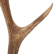 Produkt Dekoracyjne sztuczne poroże, rustykalna dekoracja domku, 50 cm