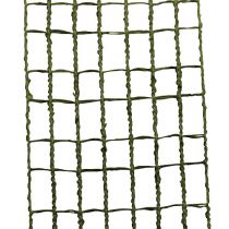 Taśma kratowa 4,5cm x 10m mech zielony