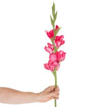 Produkt Sztuczna mieczyk z ozdobnymi kwiatami, 88 cm