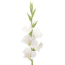 Produkt Sztuczny mieczyk, długa łodyga, do wazonów, 88 cm