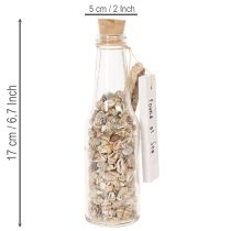 Produkt Dekoracja na butelkę szklaną z muszlami i zawieszką, marynistyczna dekoracja stołu, 17 cm, 2 sztuki