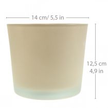 Produkt Doniczka szklana beżowa Doniczka szklana Ø14,5cm W12,5cm