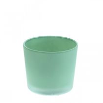 Szklana doniczka zielona doniczka szklana wanna Ø10cm W8,5cm