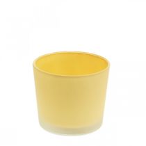 Szklana doniczka żółta sadzarka szklana wanna Ø10cm H8,5cm
