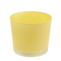 Szklana doniczka żółta doniczka szklana wanna Ø14,5 cm H12,5 cm