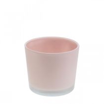 Doniczka szklana doniczka różowa szklana wanna Ø10cm H8,5cm