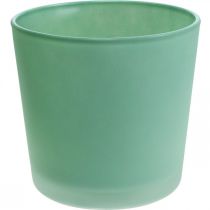Produkt Szklana doniczka zielona sadzarka szklana wanna Ø11.5cm H11cm