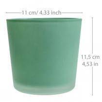 Produkt Szklana doniczka zielona sadzarka szklana wanna Ø11.5cm H11cm