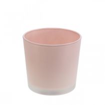 Doniczka szklana sadzarka różowa szklana wanna Ø11.5cm H11cm