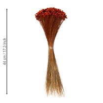 Produkt Bukiet z suszonych kwiatów, uroczy dodatek do wazonów lub kompozycji, 44 cm