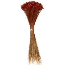 Produkt Bukiet z suszonych kwiatów, uroczy dodatek do wazonów lub kompozycji, 44 cm