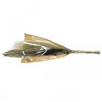 Produkt Suszone trawy w pęczku Florystyka sucha Bukiet suchy wys.70cm