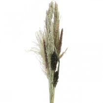 Suszone trawy w wiązce Kwiaciarnia sucha Bukiet suchy wys.70cm