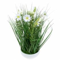 Produkt Deco trawa z kwiatami cosmea w misie H45cm