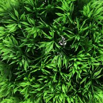Produkt Kula z trawy kula ozdobna zielona sztuczne rośliny okrągła Ø18cm 1szt