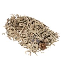 Produkt Mech ozdobny, mech szary do prac rękodzielniczych, 500g