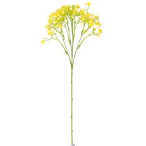 Produkt Gypsophila wiechowata ziele gipsowe kwiaty żółte L46cm 4 szt